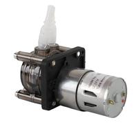 GOWENIC Bomba Peristáltica con Motor Cepillado de 12 V CC |Dosificación de Líquido de 300 Ml/min con Tubo de Silicona para Uso Industrial (24V)