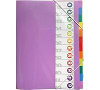 Grafoplás 30111000 Carpeta Clasificadora, Multicolor, Folio