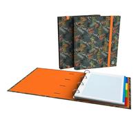 Grafoplas | Carpeta 4 Anillas con Recambio a4 | Incluye 100 Hojas Cuadriculadas 5x5 | Separadores y Sobre con Cierre | Lomo Curvo Ergonómico | Carpebook Rex Bits&Bobs Pop Up Design