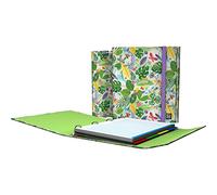 Grafoplas | Carpeta con Recambio y Solapa | Incluye Separadores | 4 Anillas D 25mm | Carpeplús | Diseño Bugs | Bits&Bobs Pop Up Design | Certificado FSC