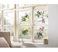 Graz Design 16007 - Adhesivo decorativo para ventanas (31 x 31 cm, 2 láminas, autoadhesivas, reposicionables, para ventanas, pájaros, pájaros cantores, acuarelas, petirrojos, jilguero