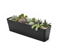 GREANER 1 Maceta Negra con bandejas extraíbles y Agujeros de Drenaje, 41 x 10 cm, Rectangular, plástico, balcón, Oficina, alféizar de Ventana, suculenta, Flores, jardín, Uso Interior y Exterior