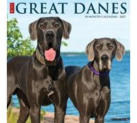 Willow Creek Press, Just Great Danes - Calendario de pared 2027