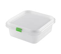 Great Plastic Contendedor de Alimentos/Fiambrera Cuadrado con Capacidad de 1,2 litros, Blanco, 17.6 x 16.2 x 6.5 cm