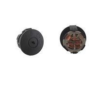 Greenstar 32519 - Interruptor eléctrico cortacésped
