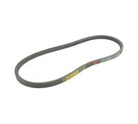 Greenstar correa liso, Negro, 21007