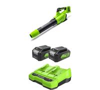 Greenworks 2x2Ah Soplador de Hojas inalámbrico axial (Dos Baterías de 225km/h Velocidad Aire soplador axial Potente c/Control electrónico de Velocidad con batería y Cargador de Doble Ranura)