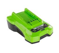 Greenworks Cargador de batería G40C 40V 2A – Carga 1 batería 2Ah en 60 min – 3 años