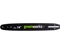 Greenworks Barra guía original para motosierra (barra de repuesto de 25 cm adecuada para las motosierras GD40TCS de la serie 40V )