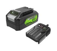 Greenworks TOOLS Batería y cargador G24B4 & G24UC 24V 4Ah iones de litio 60W Carga 120 min