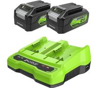 Greenworks TOOLS Baterías y cargador doble 24V G24B4 & G24X2C, 2x4Ah, carga 60 min