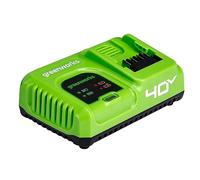 Greenworks TOOLS Cargador de batería para 40V G40UC5 – 5A carga rápida, original, garantía 3 años