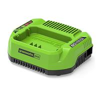 Greenworks Cargador de batería G60UC – Li-Ion 60V 120W 2A, apto para serie Greenworks 60V