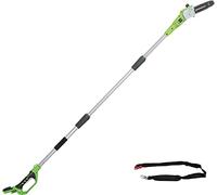 Greenworks G24PS20 Sierras telescópicas para exterior, Barra de 8-Pulgada (20cm), Velocidad Cadena 6,7m/s,3,2kg, Autoengrasado, Alcance de Poste 2,6m SIN Batería de 24V y Cargador, Garantía de 3Años
