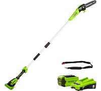 Greenworks Podadora con pértiga G40PSFK2 - Batería 40V 2Ah