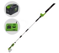 Greenworks G48PHTII - Cortasetos de batería con pértiga - 48V 5Ah