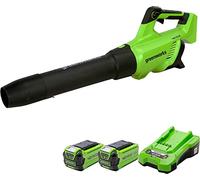Greenworks Soplador de hojas a batería GD40ABK2X – Motor sin escobillas, 210 km/h, 2×40V 2Ah