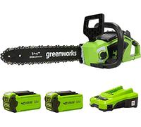 Greenworks GD40CS15K2X Motosierra a Batería, Motor sin Escobillas, Largo de Barra 14 Pulgada (35cm), Velocidad de Cadena 12 m/s, 3,5 kg, Protección de Retroceso, 2 x Baterías 40V 2Ah y Cargador