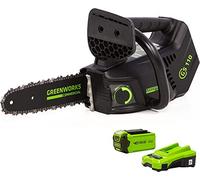 Greenworks GD40TCSK2 Motosierra a Batería, Asa Superior, Motor sin Escobillas, Barra de 25 cm, Velocidad de Cadena 12 m/s, 2,4 kg, Autoengrasado, Protección de Retroceso, Batería de 40V 2Ah y Cargador