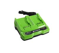 Greenworks Tools Batería de doble ranura Cargador universal G24X2C (Li-Ion 24 V 48W de salida adecuado para todas las baterías de la serie de 24 V de Greenworks)
