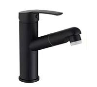 Grifo de baño con pulverizador de pulverizador de un Solo Modo retráctil para Mezclador retráctil para Agua de Agua fría y Caliente Grifo de Lavado de baño de un Solo Mango de la Cuenca de tirón