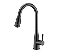 Grifo de cocina con pulverizador desmontable, grifo de fregadero de cocina extraíble Ibergrif con 2 modos de agua, giratorio de 360 °, acero inoxidable mate, fácil instalación para barra de baño RV