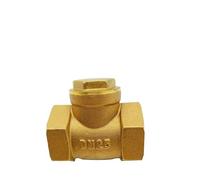 Grifo Exterior Jardin Válvula antirretorno de latón con rosca interna BSP for tubería contador agua (DN15, DN20, DN25, DN32, DN40, DN50, DN65)(DN20)