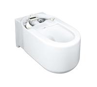 Grohe Sensia Arena - Inodoro suspendido, blanco alpino 14937000