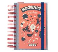 Grupo Erik Agenda Harry Potter 2024 - Agenda anual 2024 día por página con ilustraciones - Agenda dia por página, Planificador diario 2024 - Agenda 2024, 11,4x16 (AAKDPS2401)