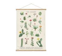 Grupo erik banderola botanical cacti - póster tela cactus 53x71 cm -