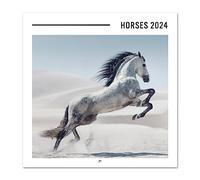 Grupo Erik Calendario 2024 pared Caballos - Calendario pared 2024 - Planificador mensual 30x30 cm | Calendario caballos 2024 - Calendario animales 2024