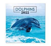 Grupo Erik Calendario delfines 2022 - Calendario 2022 pared - Calendario pared animales | Calendario mensual - Producto con licencia oficial