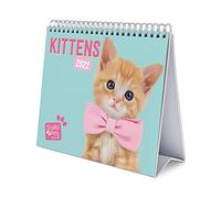 Grupo Erik Calendario escritorio Deluxe 2022 Studio Pets Cats-Calendario 2022 sobremesa-Calendario 2022 gatos │ Calendario animales-Calendario mesa 2022-Calendario anual-Licencia Oficial