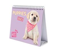 Grupo Erik, Calendario escritorio Deluxe Studio Pets 2023, Calendario 2023 sobremesa con certificado FSC, Producto con licencia oficial, CS23013, Perros, Escritorio