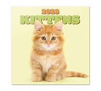 Grupo Erik Calendario gatos 2023 - Calendario 2023 pared con certificado FSC - Calendario mensual 30x30cm - Calendario animales