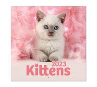 Grupo Erik Calendario gatos Somin K. & Greg C. 2023 - Calendario 2023 pared con certificado FSC - Calendario mensual 30x30cm - Producto con licencia oficial