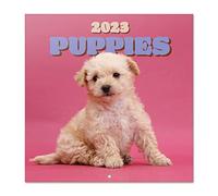 Grupo Erik, Calendario perros 2023, Calendario 2023 pared con certificado FSC, Calendario mensual, 30x30 cm, Calendario animales, CP23002, Perros, Pared