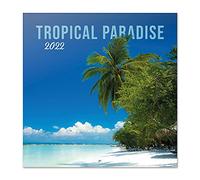 Grupo Erik Calendario Tropical Paradise 2022 - Calendario 2022 pared - Calendario pared │ Calendario 2022 - Calendario mensual - Producto con licencia oficial