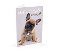 Grupo Erik Editores Tarjeta Felicitacion Studio Pets Perro Feliz Cumple Guapa