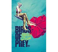 Grupo Erik ERIK - Póster Broken Heart, Birds of Prey (91x61,5)