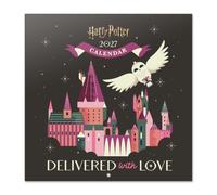 Grupo Erik Harry Potter Calendario 2027 Pared - Almanaque 2027 30x30cm | Planificador Mensual, 12 Ilustraciones, Póster Incluido, Sobre Protector, En 6 Idiomas, Harry Potter regalos
