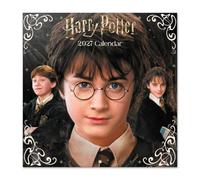 Grupo Erik Harry Potter Películas Calendario 2027 Pared - Almanaque 2027 | 30x30cm, Planificador Mensual, 12 Ilustraciones, Póster Incluido, Sobre Protector, En 6 Idiomas, Harry Potter regalos