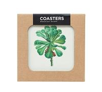 Set 4 Posavasos Botanical Cacti kokonote