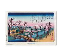 Grupo erik poster cherry trees in bloom on the embankment at koganei u