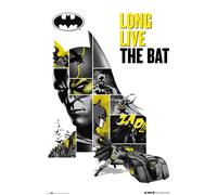 Poster Dc Comics 80 Aniversário Batman