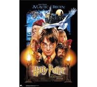 Erik Póster Harry Potter 1