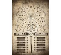 Grupo erik - póster harry potter spells & charms, 61x91,5 cm
