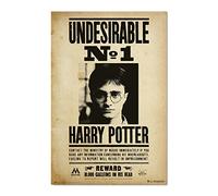 Erik Póster Harry Potter Undesirable N1