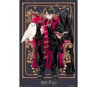 Erik Póster Harry Potter Wizard Dynasty – Lámina decorativa – Licencia oficial