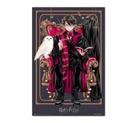 Grupo erik poster harry potter wizard dynasty - laminas decorativas 61